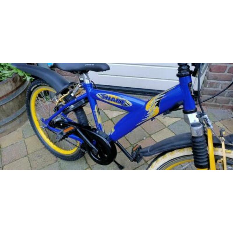 Stoere 20 inch Batavus Snake