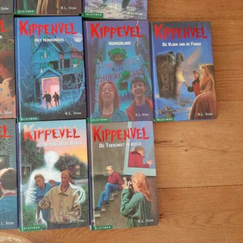 15 x boek Kippevel van R.L. Stine