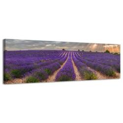 Diverse Canvas Panorama's - slechts EUR 49!