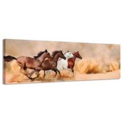 Diverse Canvas Panorama's - slechts EUR 49!