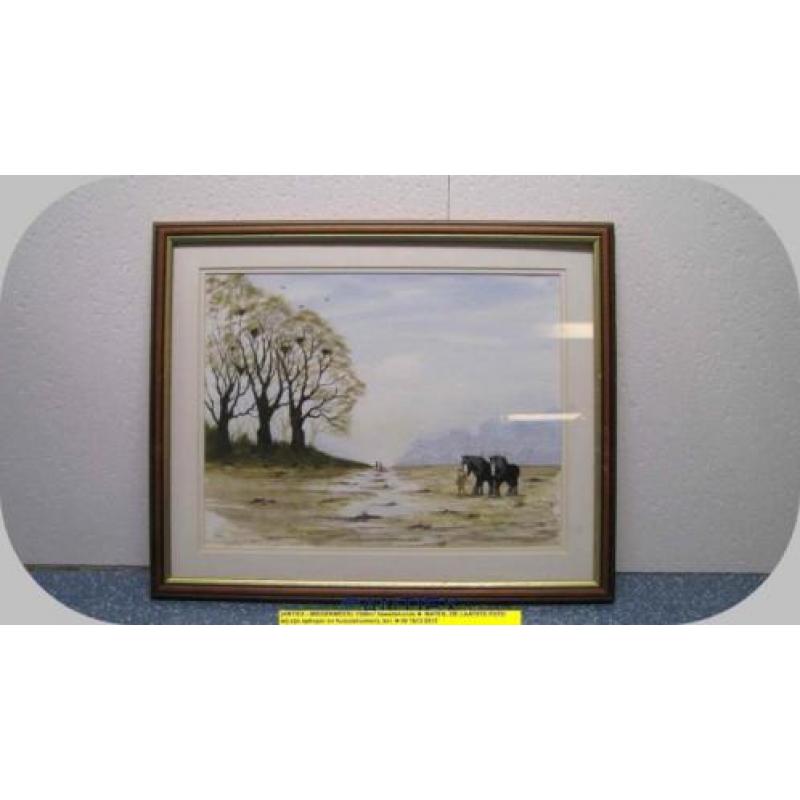 9691 - aquarel paarden - William James - € 35