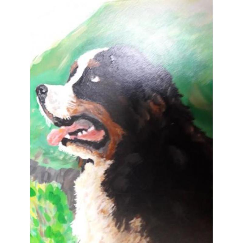 Schilderij acrylverf abstract kunst: Berner Sennen hond