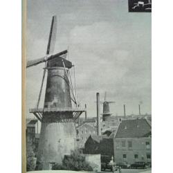 De Schiedamse gemeenschap - 1954