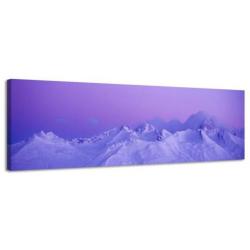 Diverse Canvas Panorama's - slechts EUR 49!