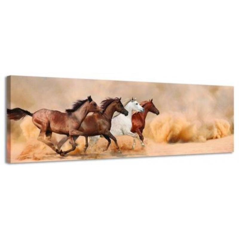 Diverse Canvas Panorama's - slechts EUR 49!