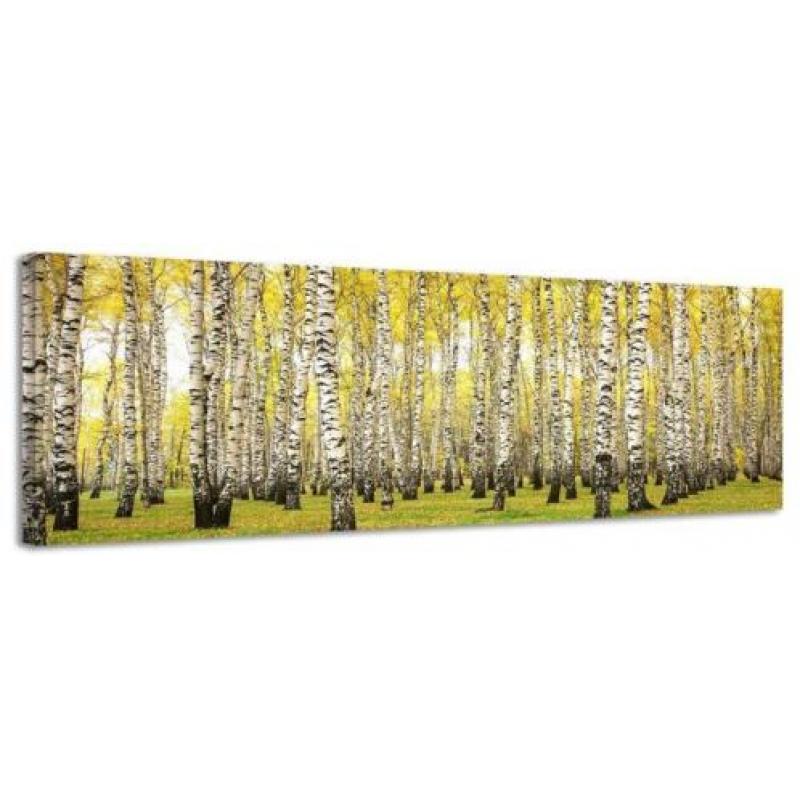 Diverse Canvas Panorama's - slechts EUR 49!