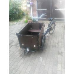 Bakfiets tekoop