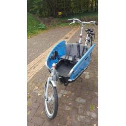 Gazelle cabby bakfiets