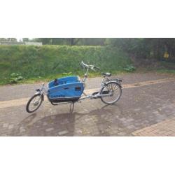 Gazelle cabby bakfiets