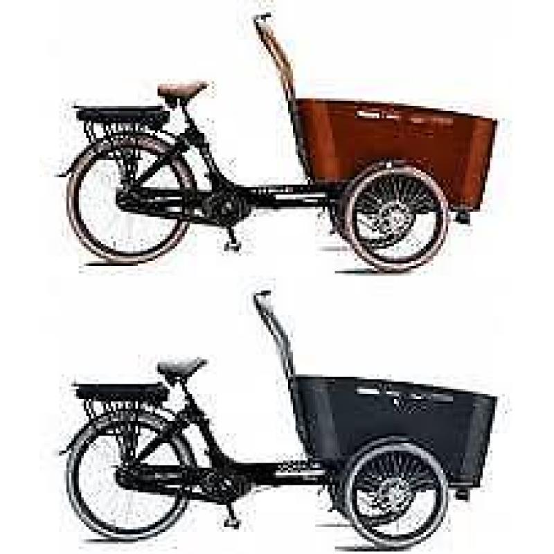 E-Bike bakfiets carry driewieler