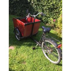 Babboe big bakfiets