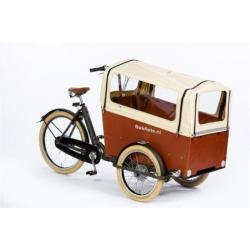 cargoTrike Cruiser Wide