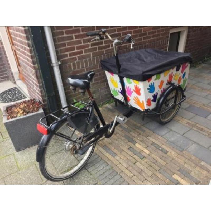 Unieke bakfiets Babboe Big