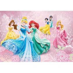 Nieuw: Disney Princess fotobehang, Prinsessen behang + LIJM