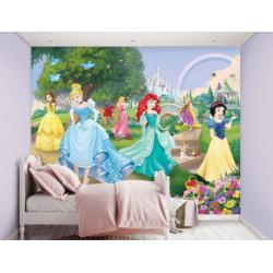 Nieuw: Disney Princess fotobehang, Prinsessen behang + LIJM