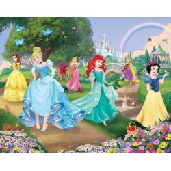 Nieuw: Disney Princess fotobehang, Prinsessen behang + LIJM