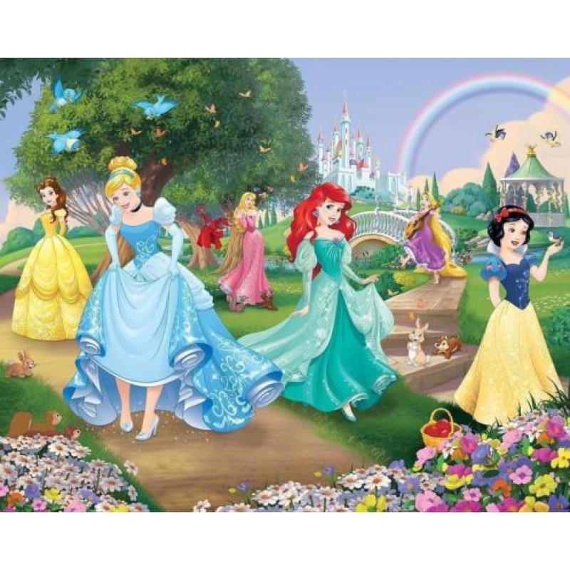 Nieuw: Disney Princess fotobehang, Prinsessen behang + LIJM